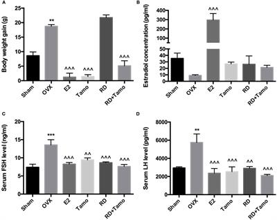 Water Extract of Rhizoma Drynaria Selectively Exerts Estrogenic Activities in Ovariectomized Rats and Estrogen Receptor-Positive Cells